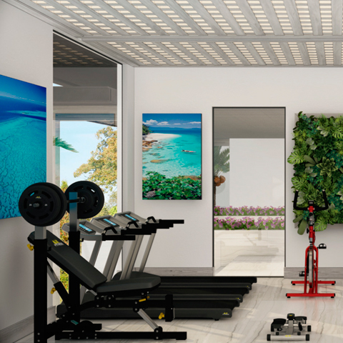Gimnasio